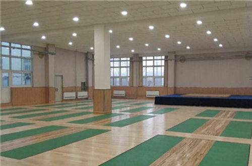 Zhengzhou Provincial Sports Industry Brigade